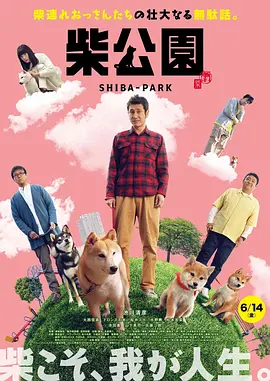 丁香六月婷婷在线观看视频