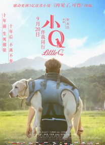 手机毛片在线观看